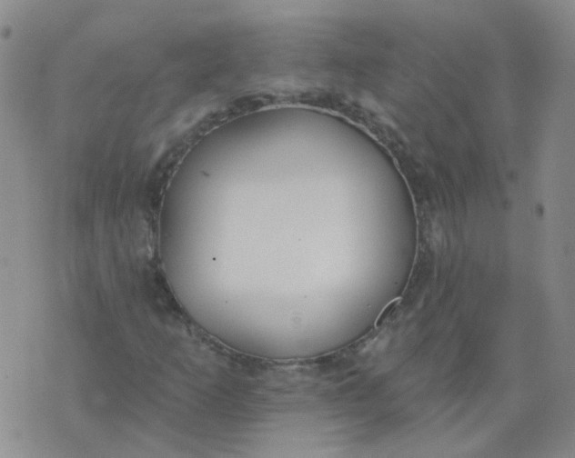 X0000073931253200609011825