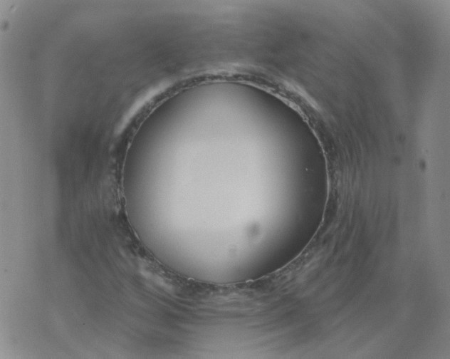 X0000073931256200609011825