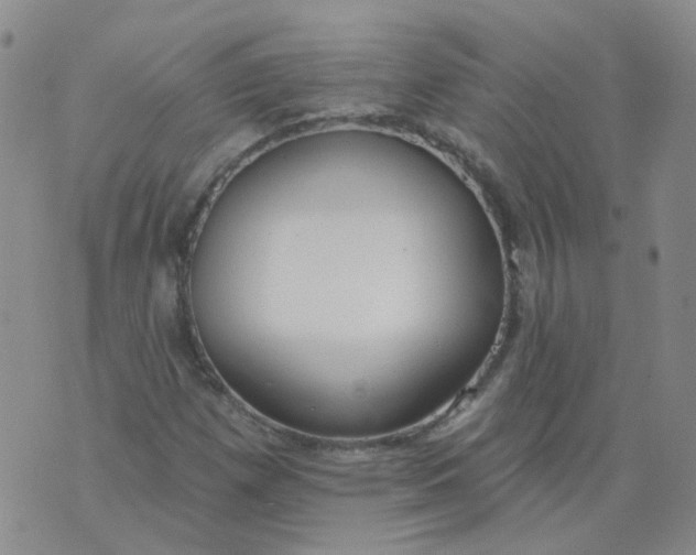 X0000073931257200609011825