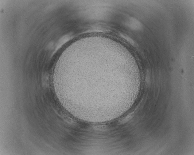 X0000073931258200609011825