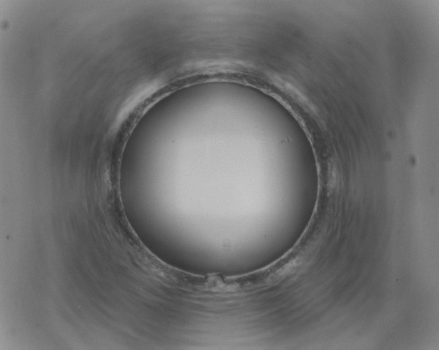 X0000073931261200609011825