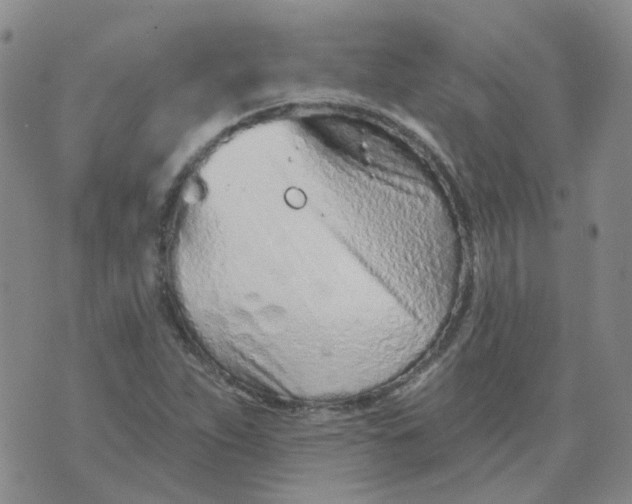 X0000073931263200609011825