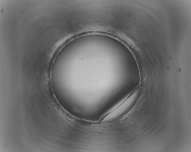 X0000073931264200609011825