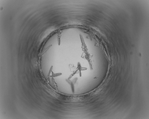 X0000073931266200609011825