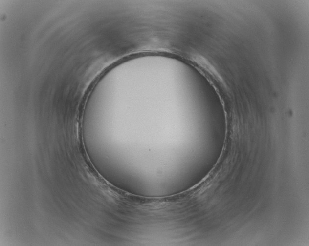 X0000073931268200609011825