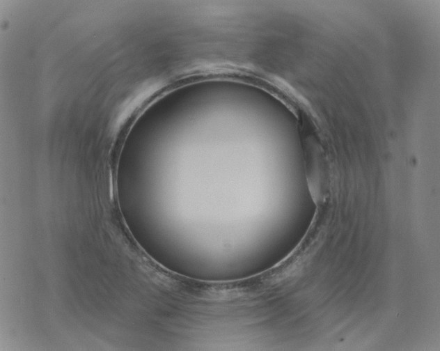 X0000073931269200609011825