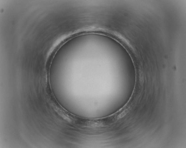 X0000073931270200609011825