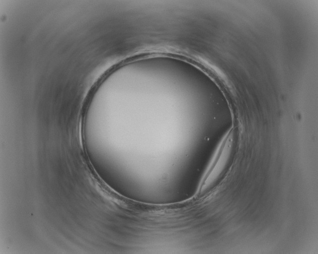 X0000073931272200609011825