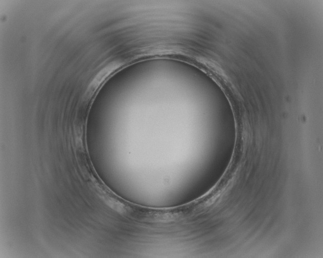 X0000073931273200609011825