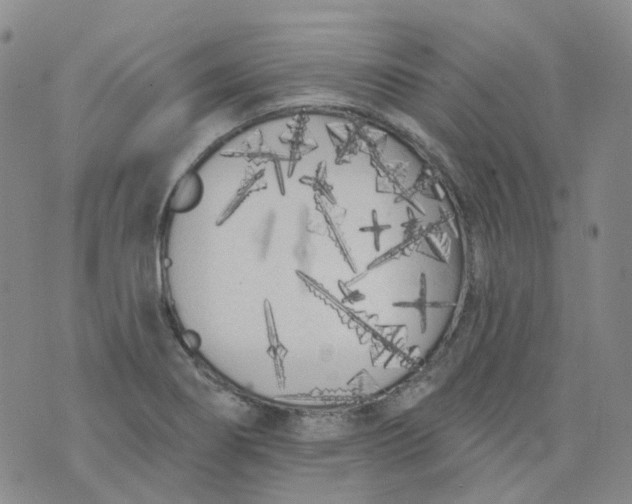 X0000073931274200609011825