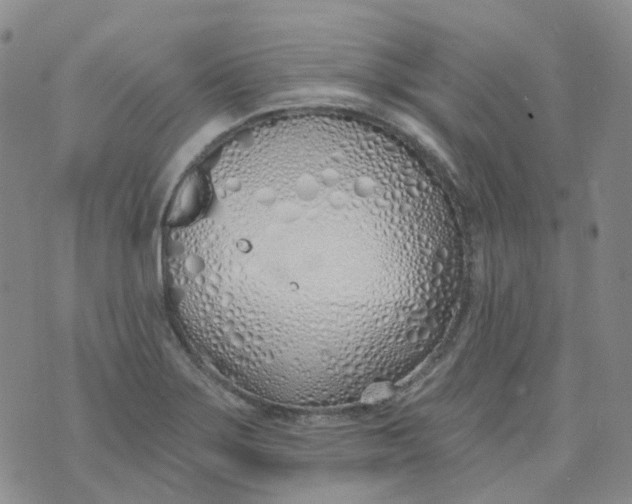 X0000073931275200609011825