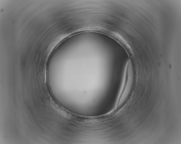 X0000073931276200609011825