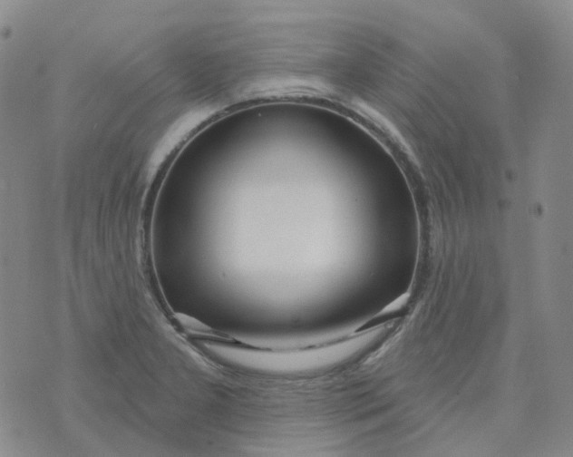 X0000073931277200609011825