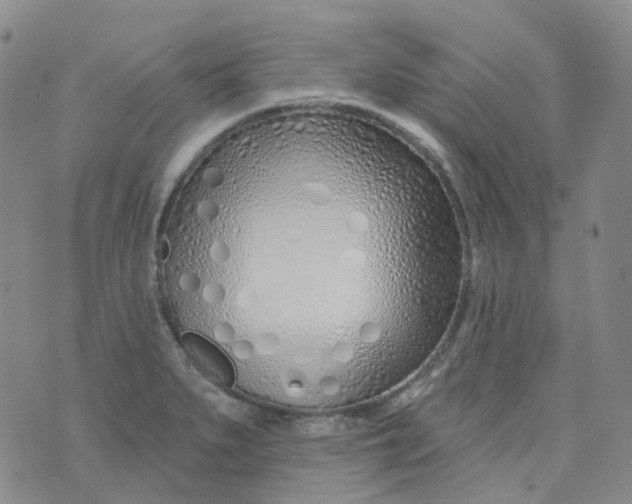 X0000073931279200609011825