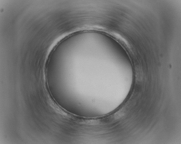 X0000073931280200609011825