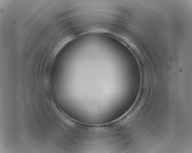 X0000073931281200609011825