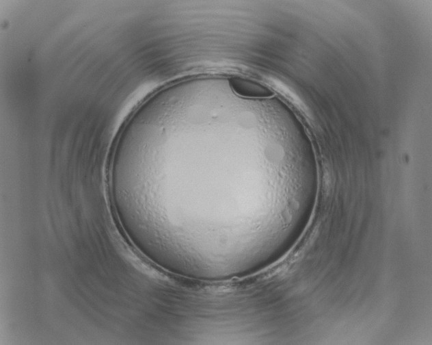 X0000073931283200609011825