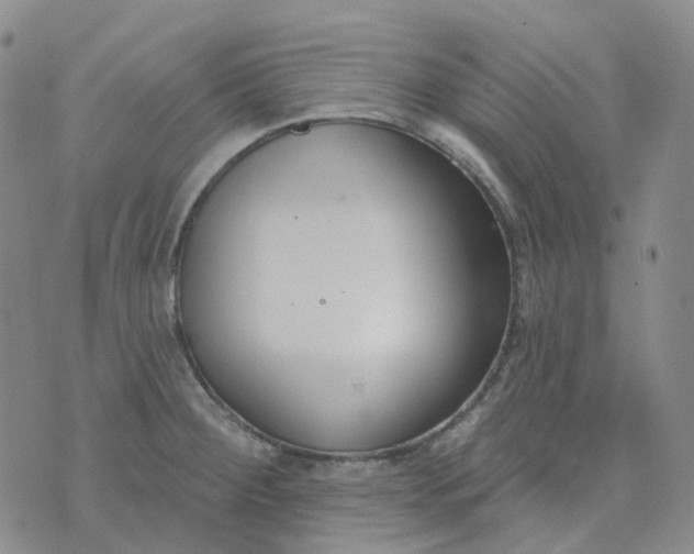 X0000073931284200609011825