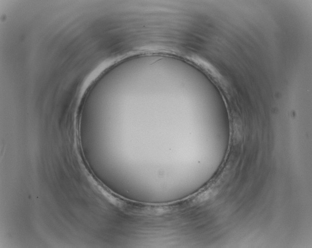 X0000073931286200609011825