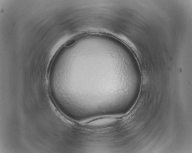 X0000073931287200609011825