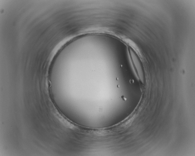 X0000073931288200609011825