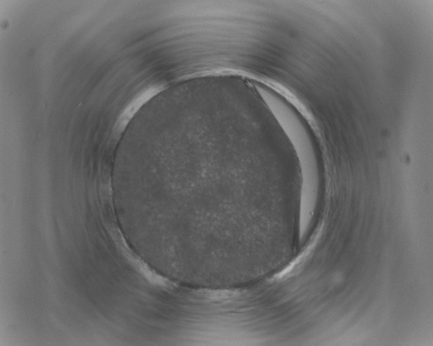 X0000073931289200609011825