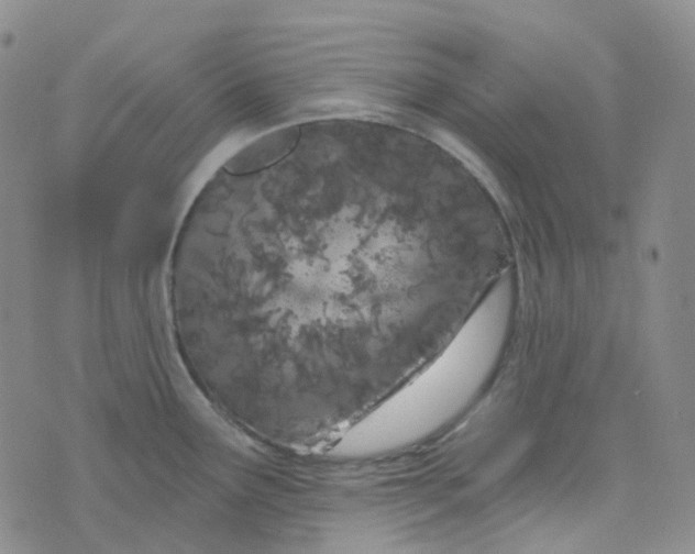 X0000073931291200609011825