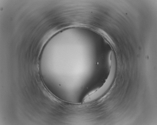 X0000073931292200609011825