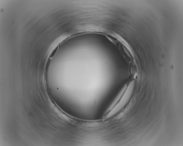 X0000073931293200609011825