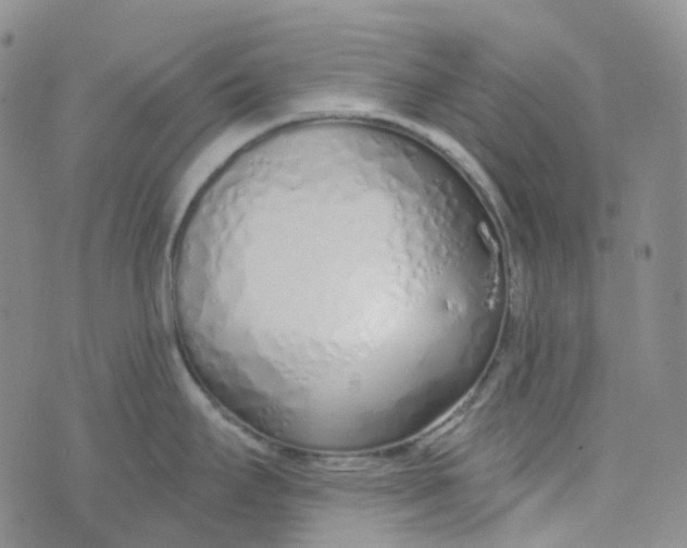 X0000073931295200609011825