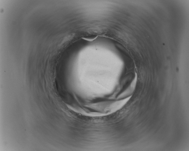 X0000073931297200609011824