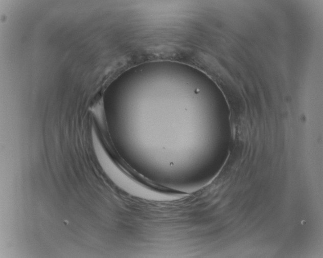 X0000073931298200609011824