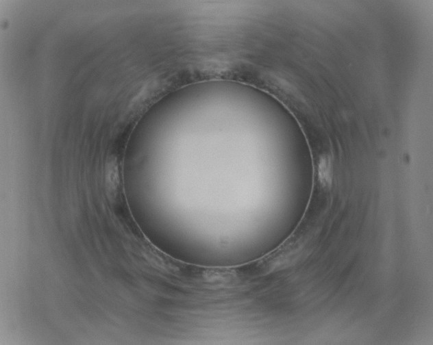 X0000073931299200609011824