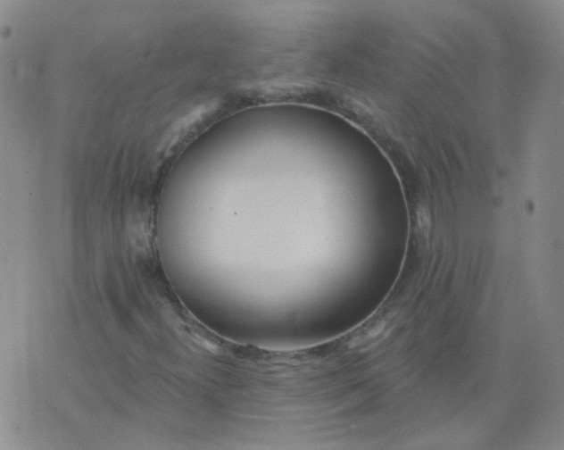 X0000073931300200609011824