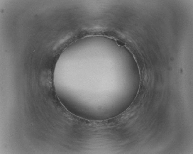 X0000073931301200609011824