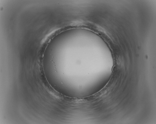 X0000073931304200609011824