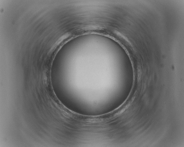 X0000073931305200609011824