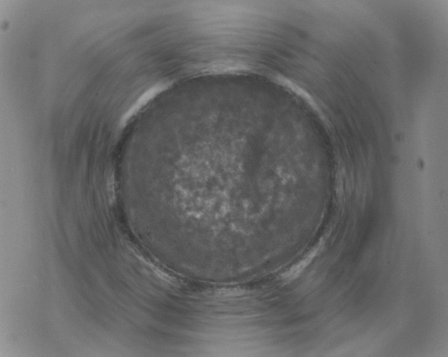 X0000073931306200609011824