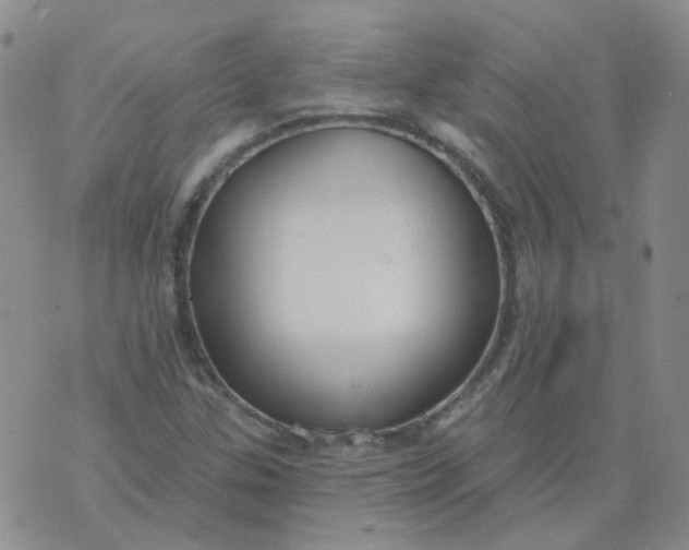 X0000073931307200609011824