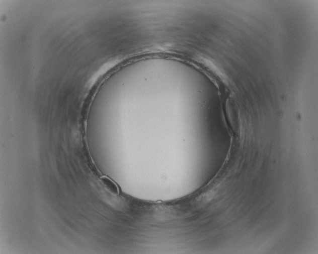 X0000073931308200609011824