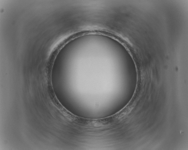 X0000073931311200609011824