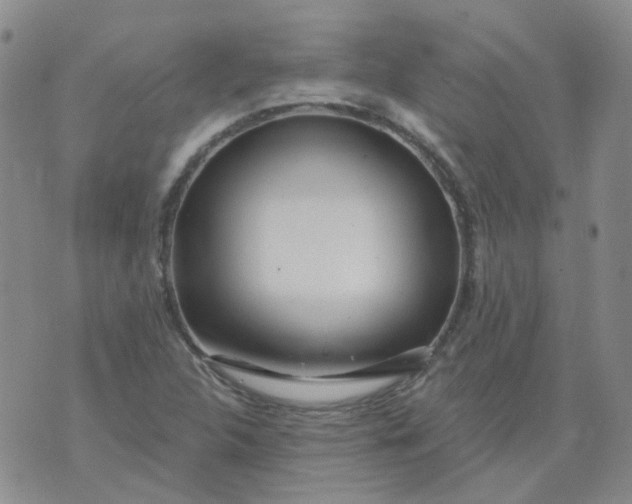 X0000073931312200609011824