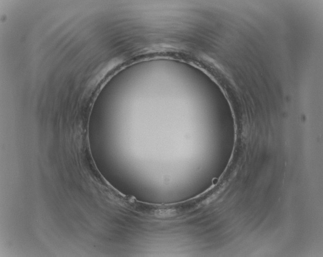 X0000073931313200609011824