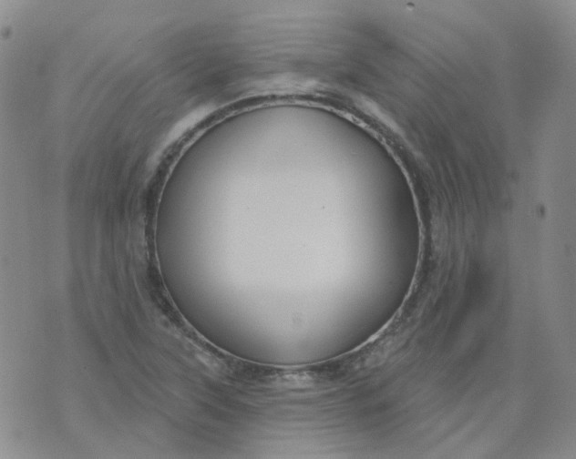 X0000073931315200609011824