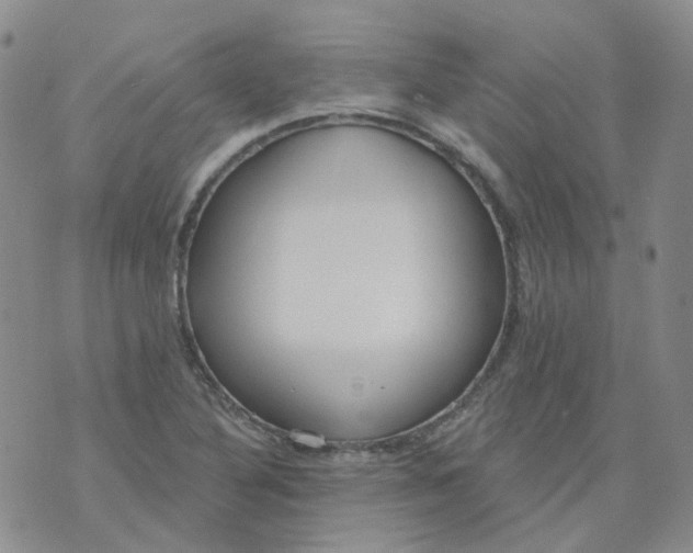 X0000073931316200609011824