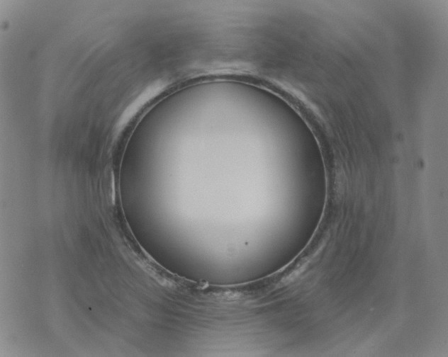 X0000073931317200609011824