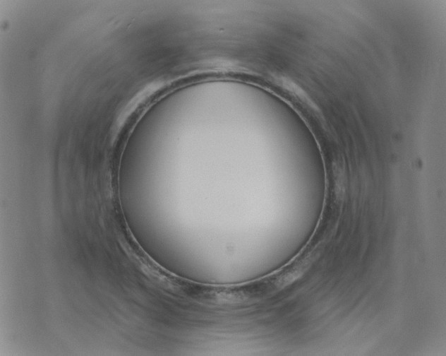 X0000073931318200609011824