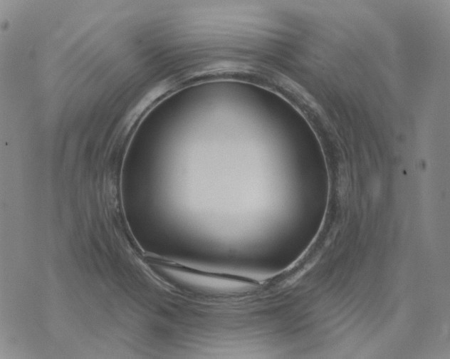 X0000073931321200609011824