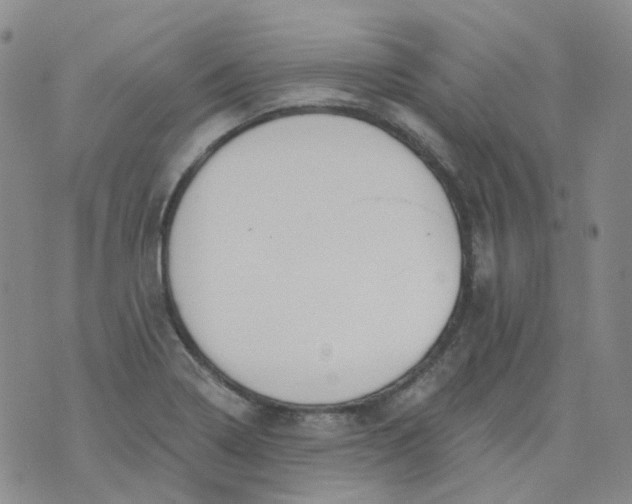 X0000073931322200609011824