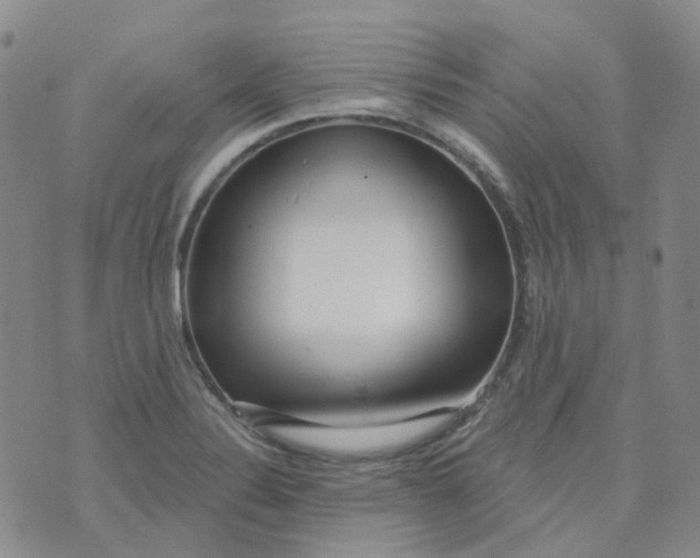 X0000073931324200609011824